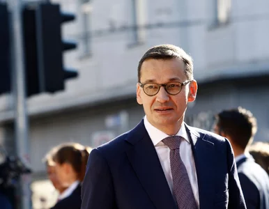 Miniatura: Własna partia Morawieckiego? Sondaż...