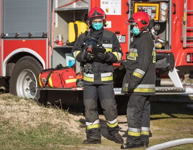 Miniatura: Wielki pożar na Mazowszu. Gęsty dym widać...