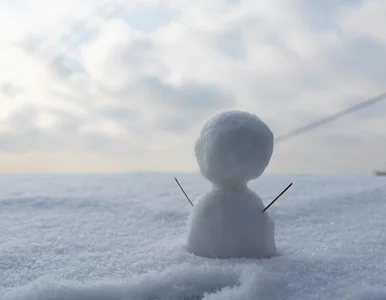 Miniatura: Taka będzie zima 2025/2026. Kiedy spadnie...