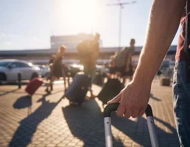 Miniatura: Zakaz działalności dla biura podróży...