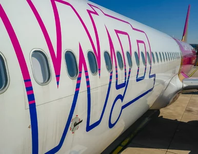 Miniatura: Wizz Air po cichu skasował te trasy....