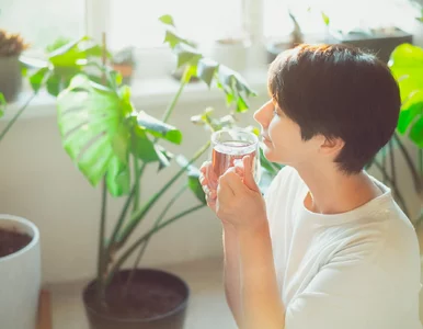 Miniatura: Piła zieloną herbatę codziennie. Organizm...