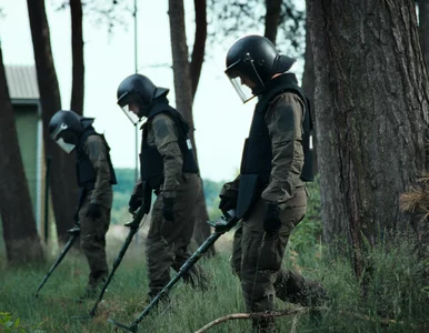 Miniatura: 150+ najlepszych miniseriali do obejrzenia...