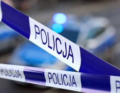 Miniatura: Tajemnicza śmierć na Pomorzu. Majątek...