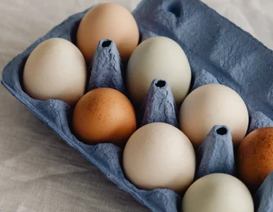 Miniatura: GIS bije na alarm. Te jajka mogą poważnie...