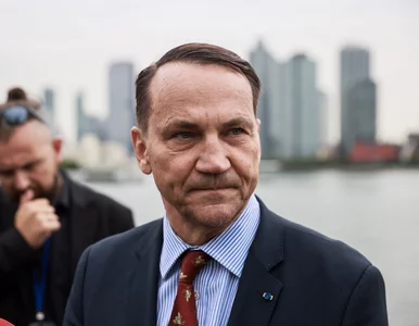 Miniatura: Sikorski stanowczo o rosyjskich dronach....