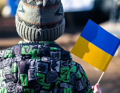 Miniatura: W takiej sytuacji 800 plus dla Ukraińców...