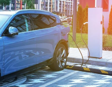 Miniatura: Polscy kierowcy coraz bardziej przekonują...