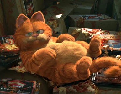 Miniatura: QUIZ ze sławnych kotów! Garfield, Filemon...