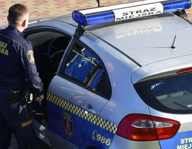 Miniatura: Właściciele nieruchomości zapominają o tym...