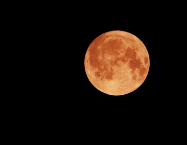 Miniatura: Krwawy Księżyc wkrótce oświetli Ziemię....