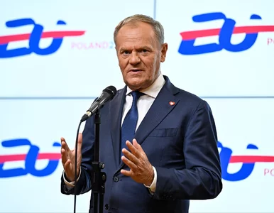 Miniatura: Kto premierem po Tusku? Sikorski liderem w...