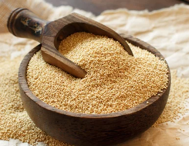 Miniatura: Aztekowie jedli go codziennie. Ma więcej...