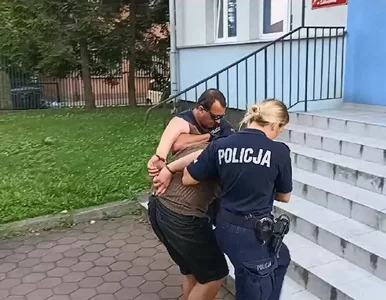 Miniatura: Którzy obcokrajowcy najczęściej dokonują...