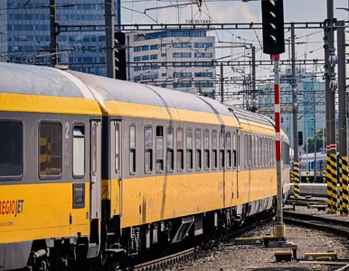 Miniatura: Polska traci żółte pociągi. Największy...