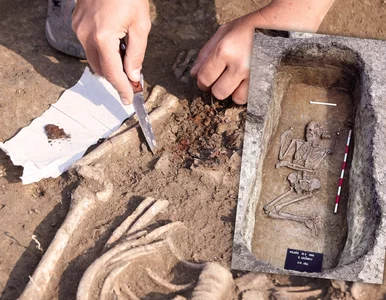 Miniatura: Niezwykły grób zdradza sekret sprzed 7...