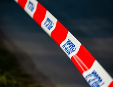 Miniatura: Weszli do domu i znaleźli dwa ciała. Nie...