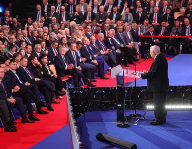 Miniatura: PiS nie porwał Polaków najnowszą...