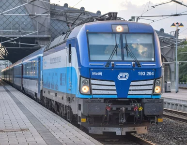 Miniatura: To połączenie kolejowe zachwyci fanów city...