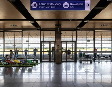 Miniatura: Wraca bezpłatna atrakcja na polskim...