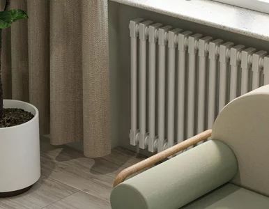 Miniatura: Kaloryfer zamiast klimatyzatora? Polacy...