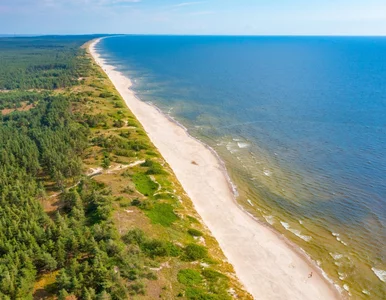 Miniatura: Nie ma sensu jechać nad Bałtyk. Wszędzie...