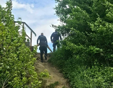 Miniatura: Zwrot ws. zaginięcia 11-letniej Patrycji....