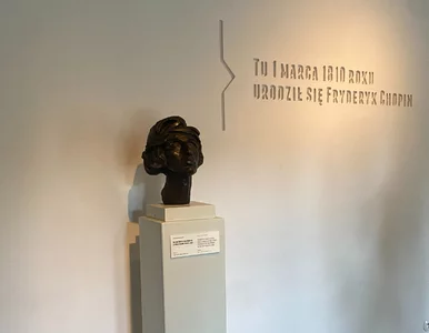 Miniatura: Kultura dla wszystkich