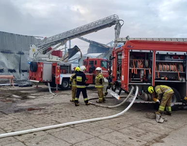 Miniatura: Gigantyczny pożar koło Słupska. Trwa akcja...
