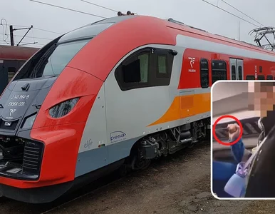 Miniatura: Nagranie z Ukrainką z nożem w pociągu...