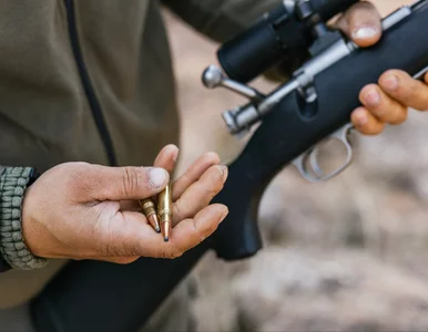 Miniatura: Myśliwy pomylił 17-latka z wiewiórką....