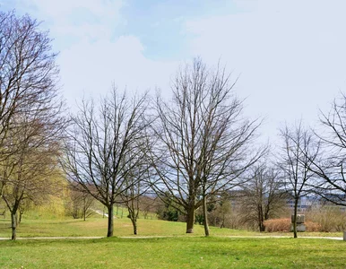 Miniatura: Pogoda średnioterminowa na 10 dni. Kiedy...