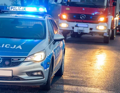 Miniatura: Tragedia w lesie. 16-latek roztrzaskał się...