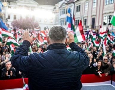 Miniatura: O luksusowej posiadłości Orbana huczał...