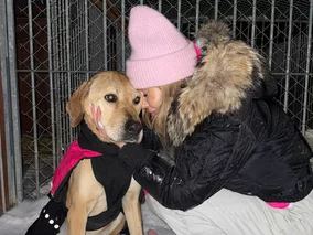 Miniatura: Doda ujawnia bagno w schronisku....