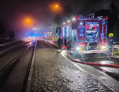 Miniatura: Pożar fabryki okien w Rusocinie. Z ogniem...