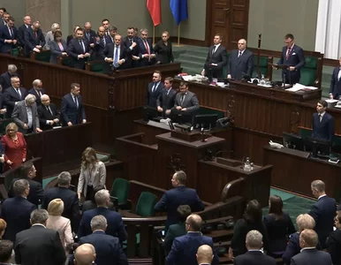 Miniatura: Nowy sondaż wyborczy. W Sejmie tylko trzy...