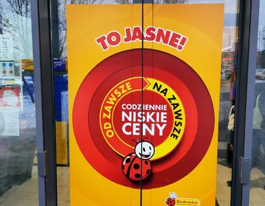 Miniatura: Od dziś w Biedronce po 3, 4 i 5 zł. Te...