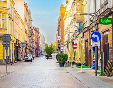 Miniatura: Brytyjczyk mówi czego mu brakuje w Polsce....