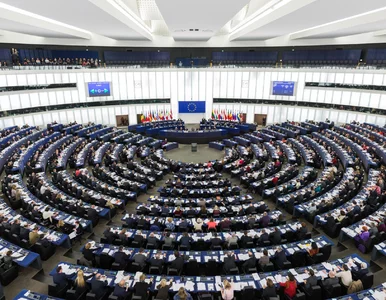 Miniatura: Polskie ostrzeżenia w centrum uwagi...