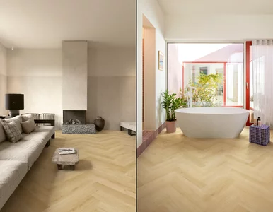 Miniatura: Nowa jodełka, która zdominowała rynek! Ta...