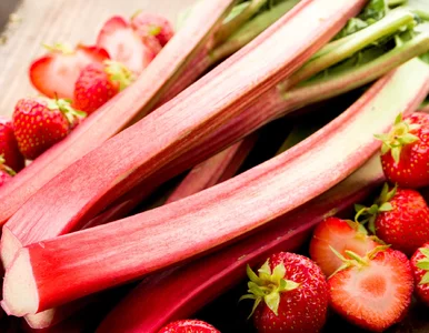 Miniatura: Chcesz schudnąć? Dietetyk potwierdza: to...