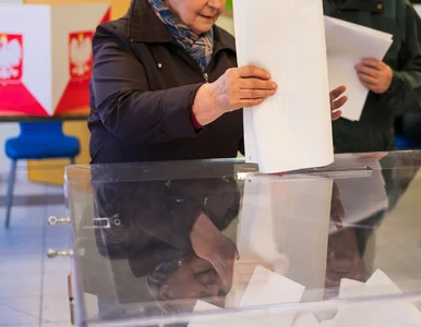 Miniatura: „Cuda nad urną” w kolejnym mieście. Jest...