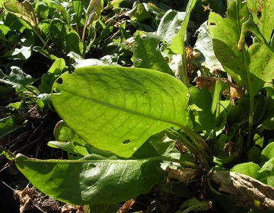 Miniatura: Zostawiłam go na sezon. To, co...