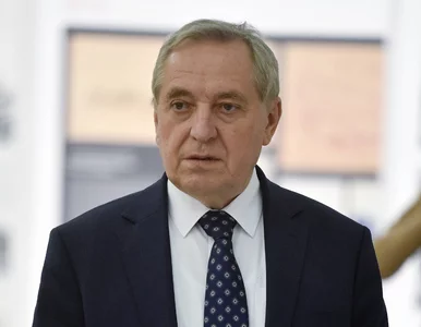 Miniatura: Henryk Kowalczyk: Rząd abdykował od...