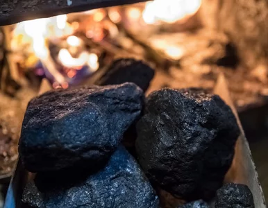 Miniatura: Sezon kontroli ruszył: brak CEEB i...