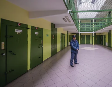 Miniatura: Mundurowi mają dość. List do Tuska i...