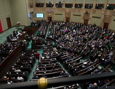 Miniatura: Prymusi w sejmowych ławach. Ci posłowie...