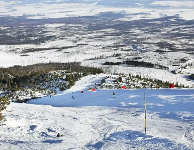 Miniatura: Ta atrakcja dla narciarzy będzie płatna....