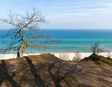 Miniatura: Idealna wioska nad morzem na zimę. O tej...